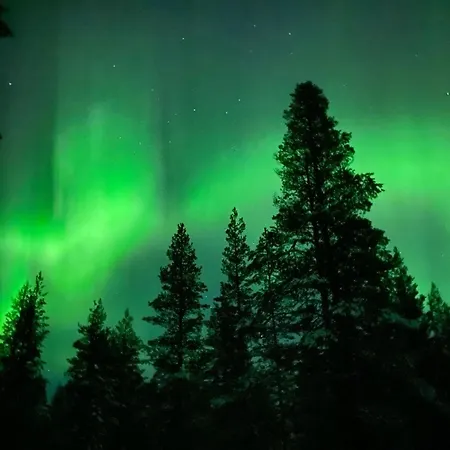 Kurjenkolo Lovely Home Nearby Santa'S Village Rovaniemi